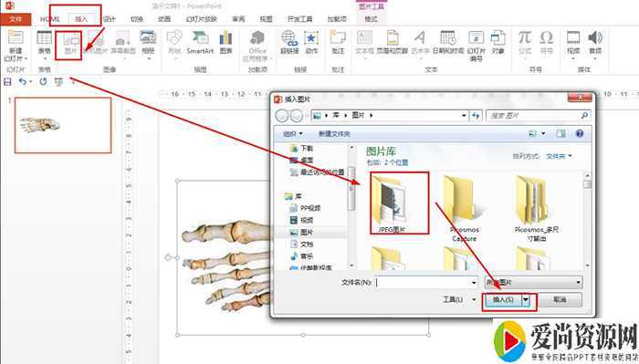 PPT如何制作脚部位图解 脚部位图解的设置方法