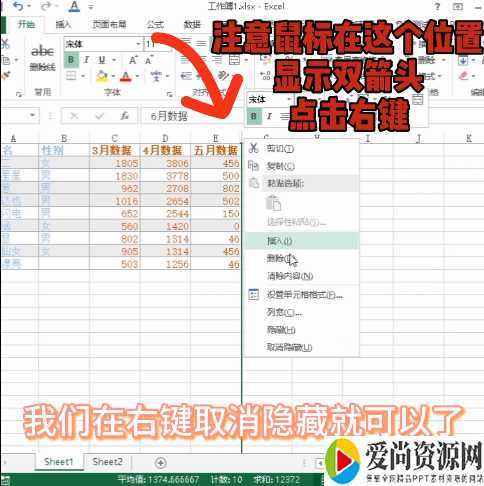 excel中隐藏单元格的方法