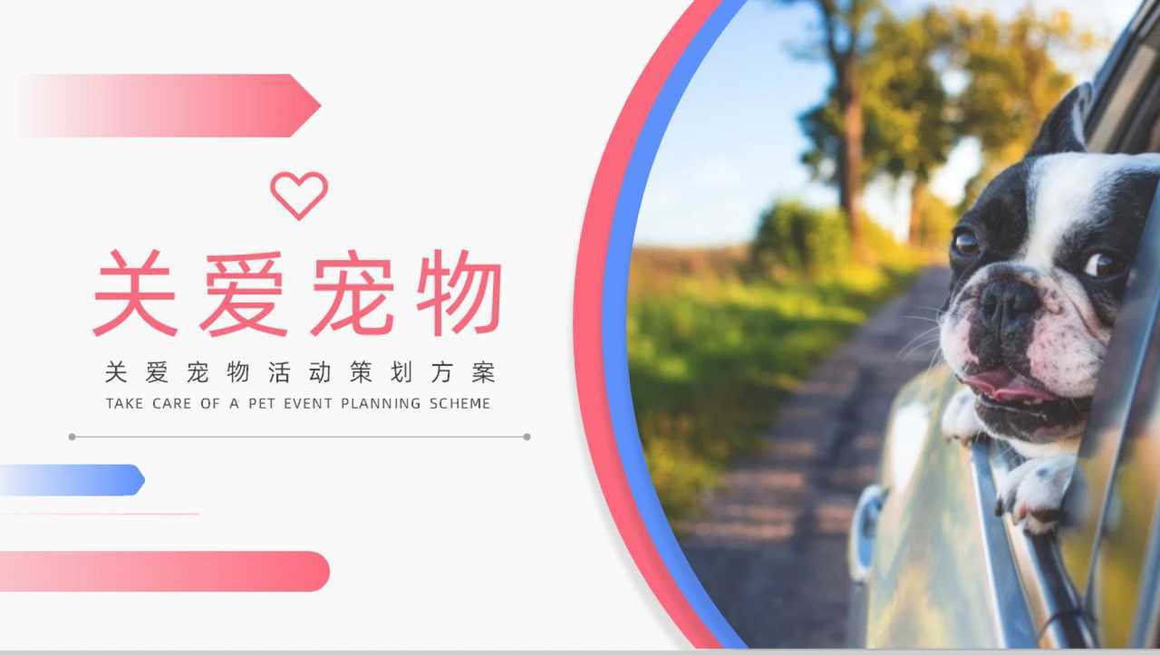 关爱宠物活动策划方案PPT模板-1