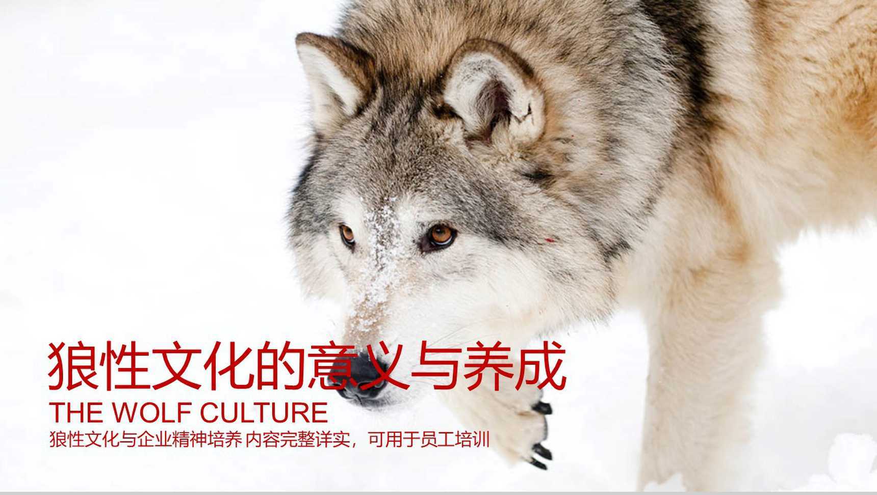 企业文化团队精神培训员工培训PPT模板