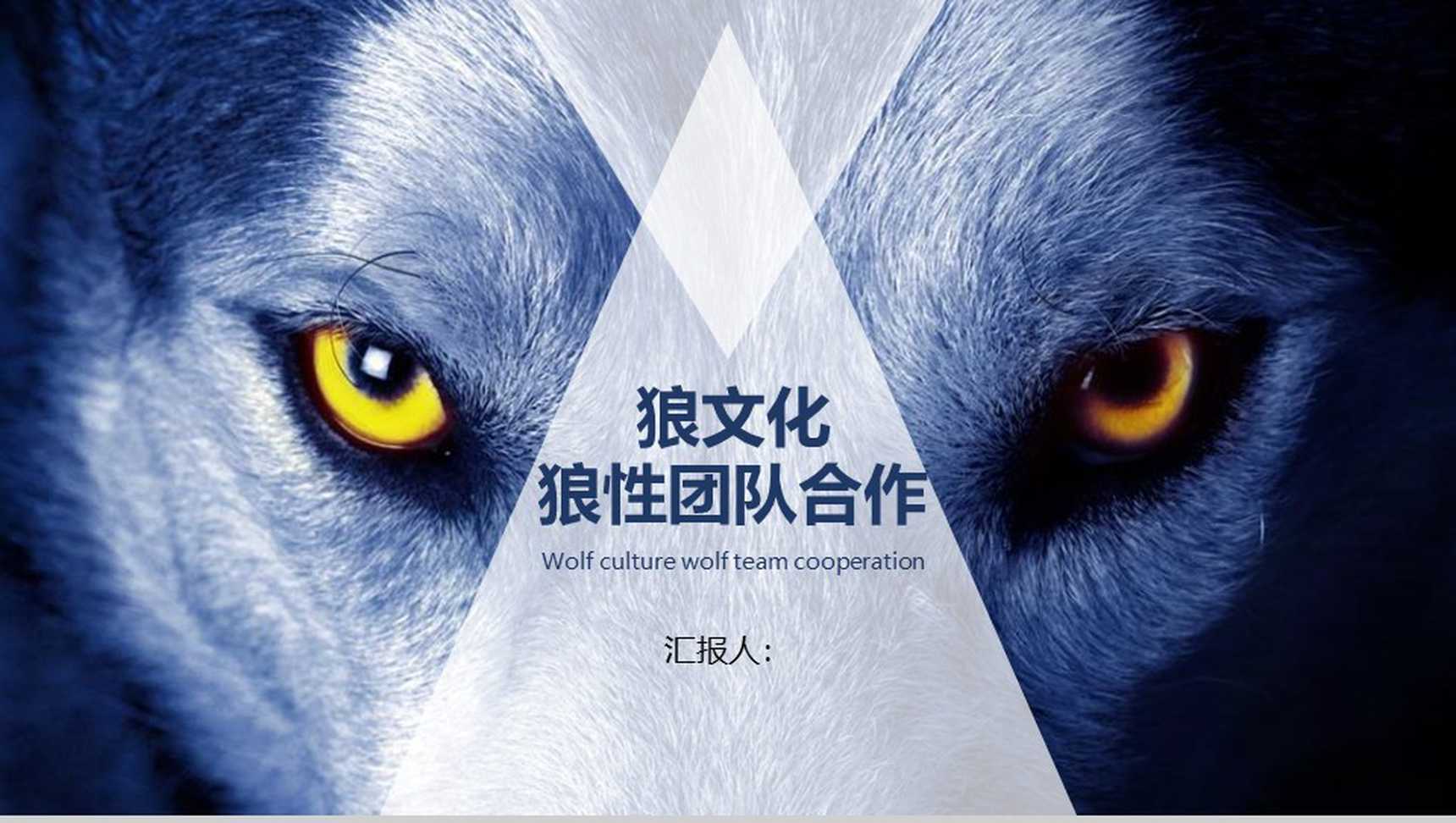 狼性团队合作团队精神PPT模板