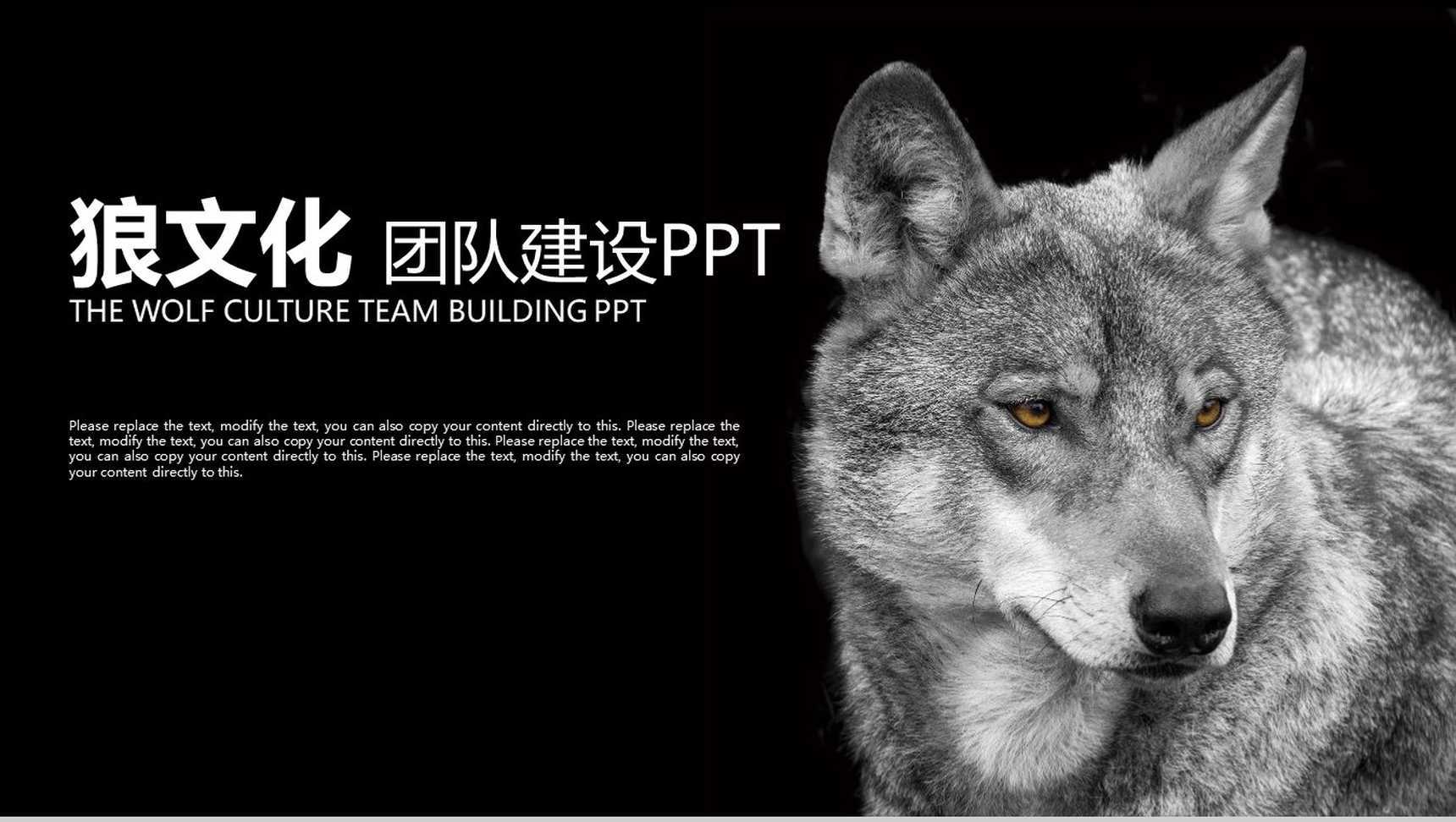 黑色简约狼文化团队建设团队文化PPT模板