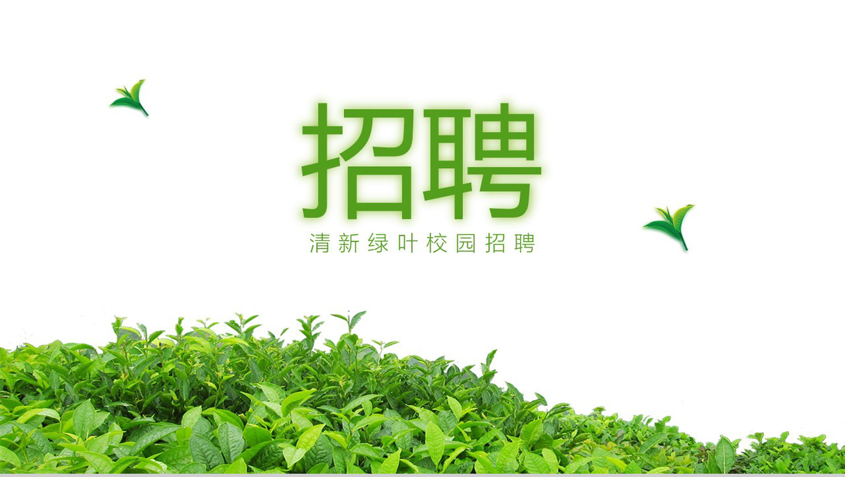 清新绿叶简约文艺校园招聘会PPT模板