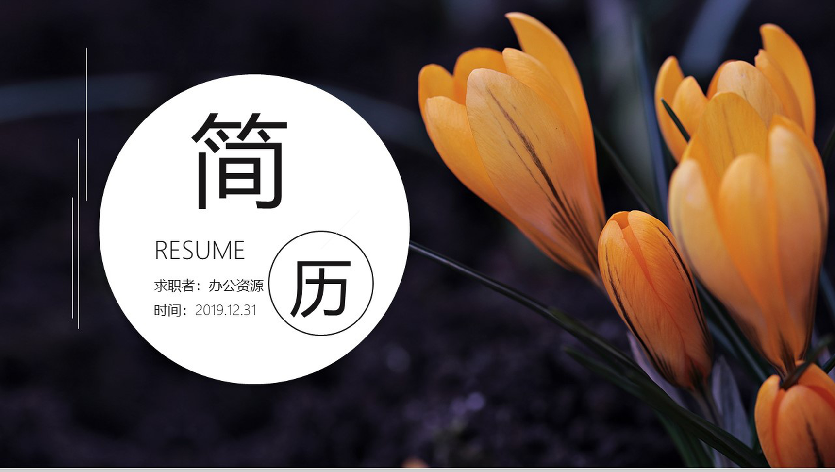 清新实用简约商务个人简历求职竞聘PPT模板