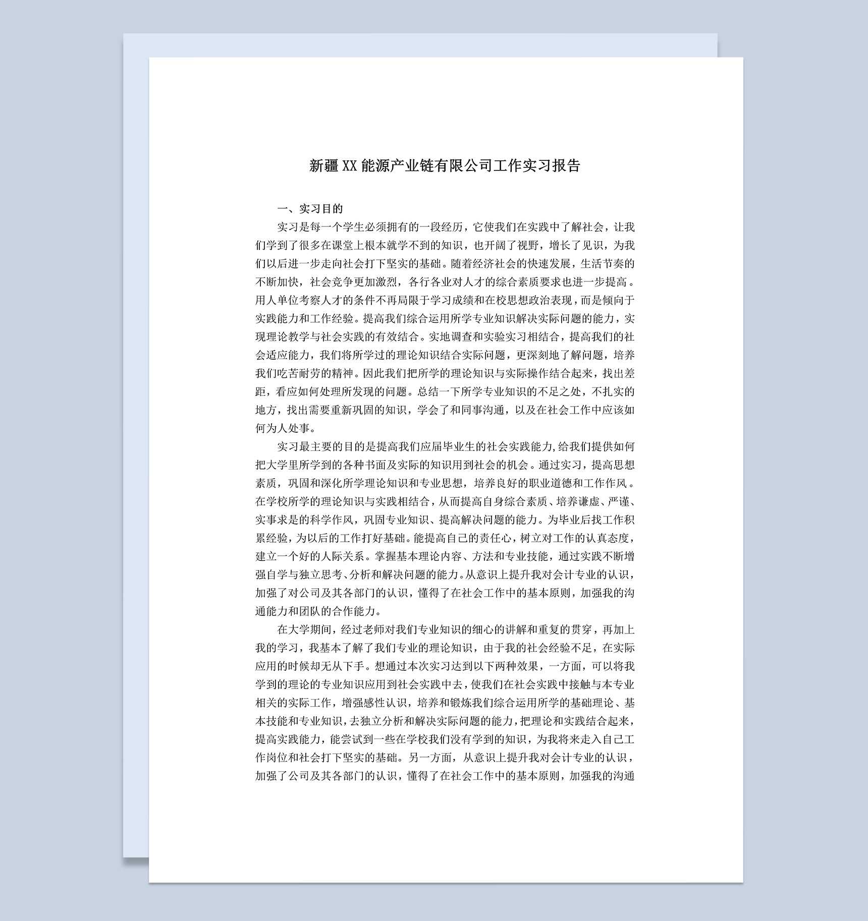 能源产业链有限公司工作实习报告范本Word模板