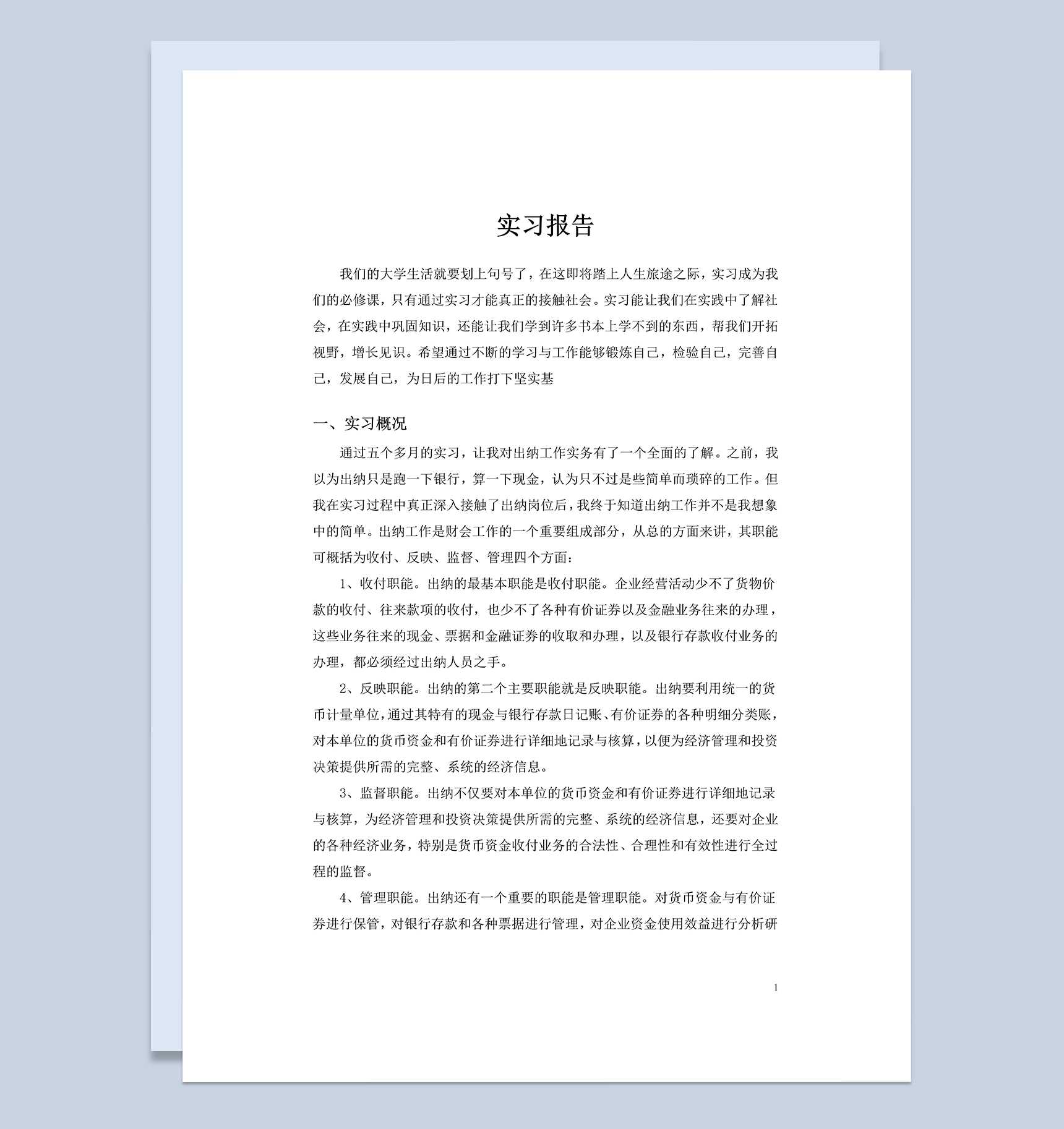 实用简约风企业公司出纳实习报告范本Word模板