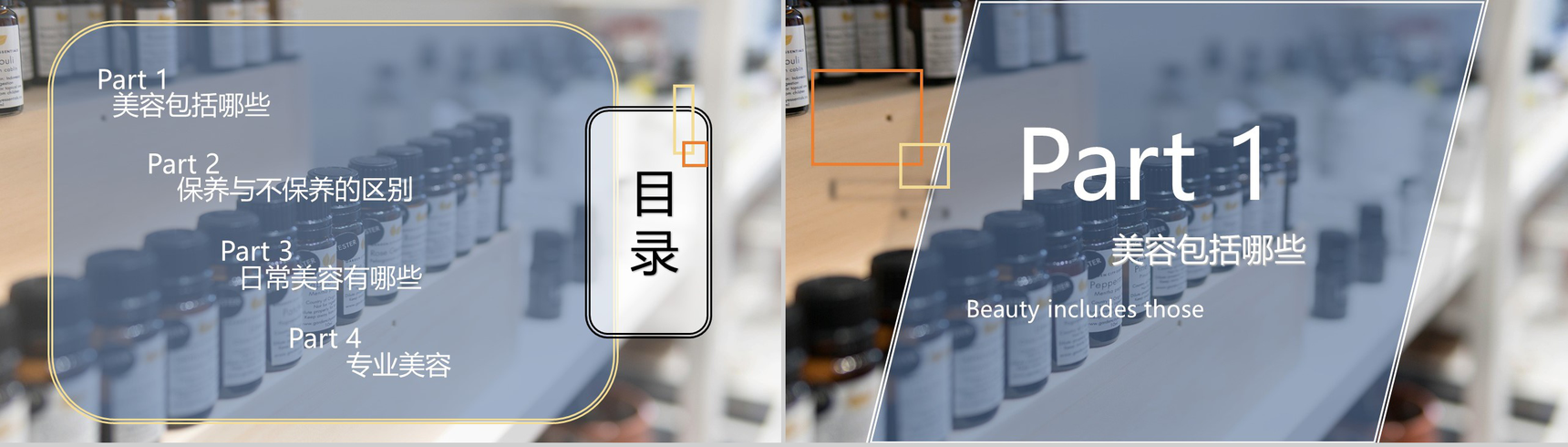 欧美风医疗美容保养PPT模板-2