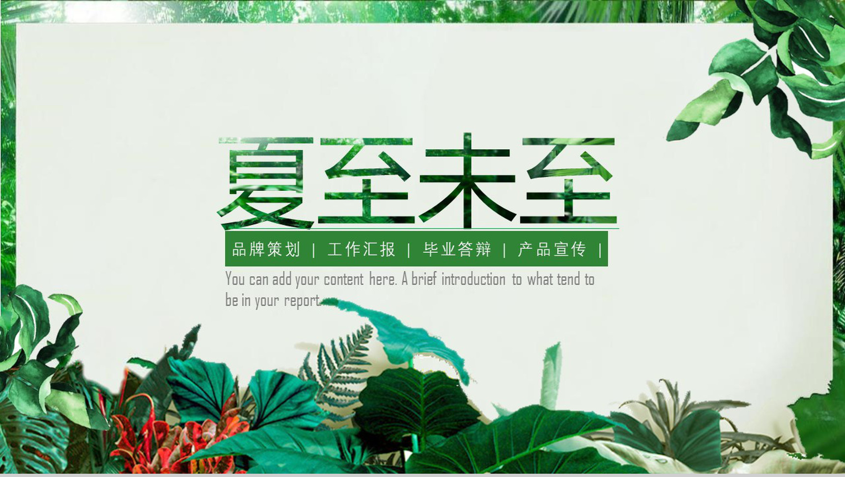 夏至未至主题策划答辩汇报PPT模板-1