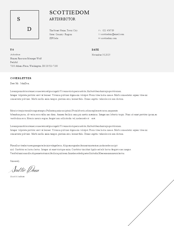 简约word英文简历模板下载