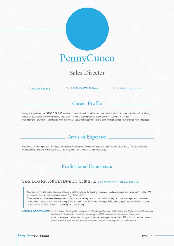 大气英文应聘简历模板