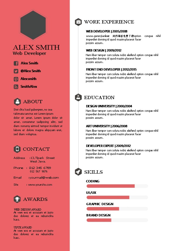 美观英文简历模板word